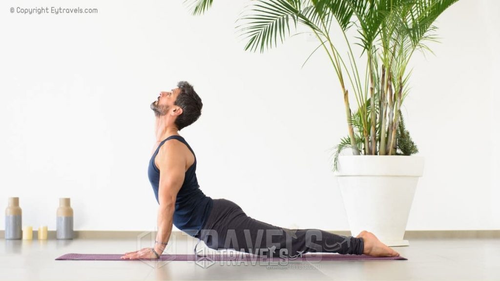 7 Best Yoga Positions For A Comfortable Home Workout 2 best 7 yoga positions for home workout upward Facing Dog eytravels