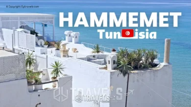 decouverte-hammamet-tunisie-tourisme