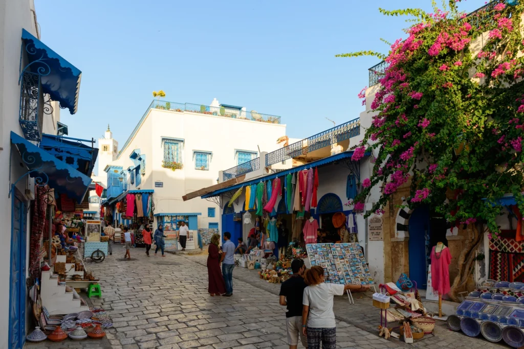 Architecture-ville-de-sidi-bou-said-tunisie-eytravels