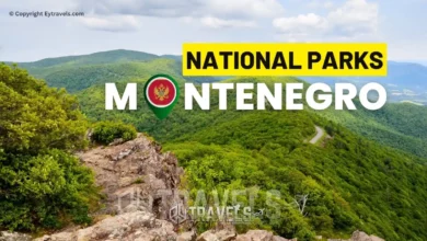 the-ultimate-guide-to-exploring-montenegros-national-parks