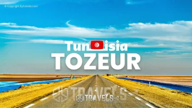 tozeur-tunisie-une-decouverte-inoubliable-de-l-oasis-du-desert