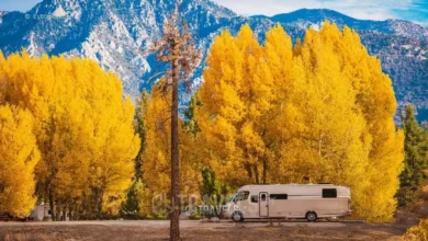 10-amazing-destinations-for-free-camping-in-california