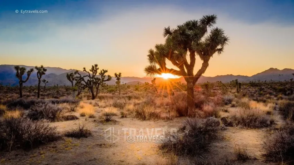 10 Amazing Destinations for Free Camping in California 1 -free-camping-in-california