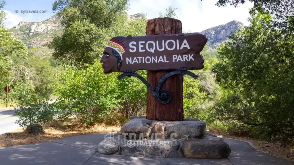 Sequoia-National-Forest-free-camping-in-california