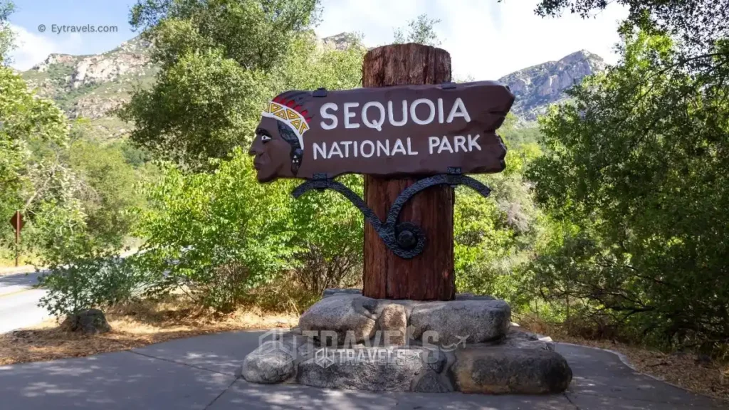 10 Amazing Destinations for Free Camping in California 4 Sequoia-National-Forest-free-camping-in-california