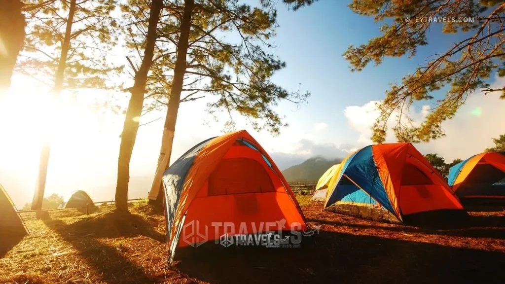 how-to-go-camping-for-the-first-time