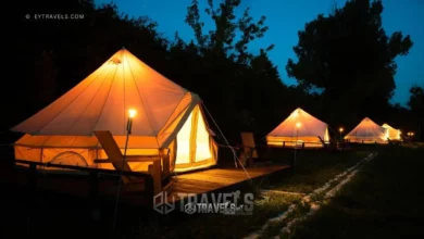 how-to-set-up-a-glamping-site-a-beginners-guide