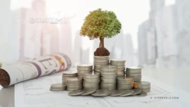 Exploring What is Fidelity Investments and International Opportunities 3 exploring-what-is-fidelity-investments-and-international-opportunities