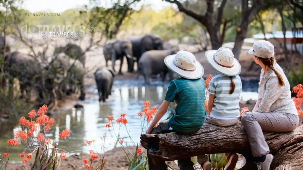 Safari Planning 101: Your Ultimate Guide to an Unforgettable African Adventure 3 safari-planning-101-safari-trip