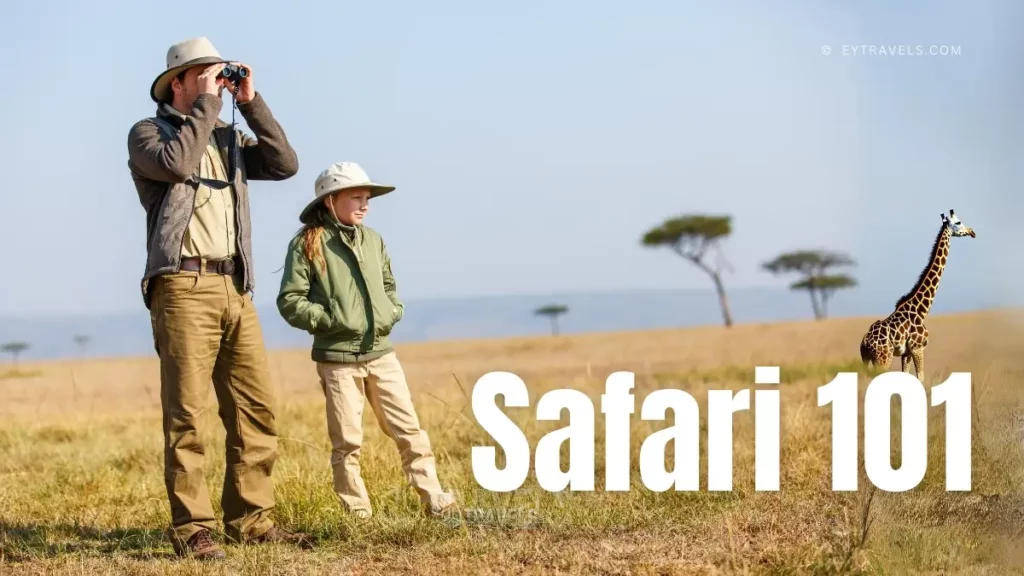 Safari Planning 101: Your Ultimate Guide to an Unforgettable African Adventure 1 safari-planning-101-your-ultimate-guide-to-an-unforgettable-african-adventure