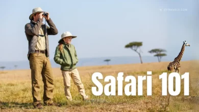 safari-planning-101-your-ultimate-guide-to-an-unforgettable-african-adventure