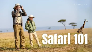 Safari Planning 101: Your Ultimate Guide to an Unforgettable African Adventure 5 safari-planning-101-your-ultimate-guide-to-an-unforgettable-african-adventure