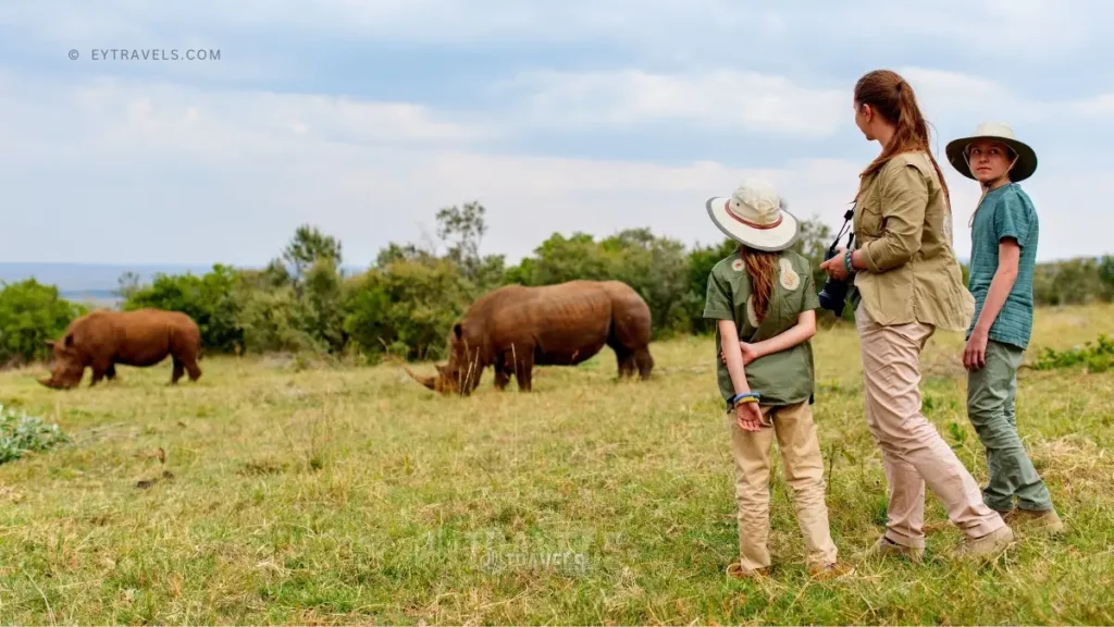 Safari Planning 101: Your Ultimate Guide to an Unforgettable African Adventure 2 safari-ultimate-guide-to-an-unforgettable-african-adventure